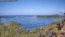 ./images/calvert/foggy-cove/20260910/foggy-cove20260910_110001M.jpg