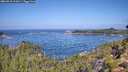 ./images/calvert/foggy-cove/20260910/foggy-cove20260910_111001M.jpg