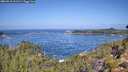 ./images/calvert/foggy-cove/20260910/foggy-cove20260910_111502M.jpg