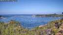 ./images/calvert/foggy-cove/20260910/foggy-cove20260910_112001M.jpg