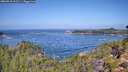 ./images/calvert/foggy-cove/20260910/foggy-cove20260910_112501M.jpg