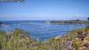 ./images/calvert/foggy-cove/20260910/foggy-cove20260910_113001M.jpg