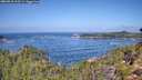 ./images/calvert/foggy-cove/20260910/foggy-cove20260910_113501M.jpg