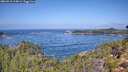 ./images/calvert/foggy-cove/20260910/foggy-cove20260910_114002M.jpg