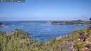./images/calvert/foggy-cove/20260910/foggy-cove20260910_114501M.jpg