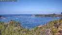 ./images/calvert/foggy-cove/20260910/foggy-cove20260910_115501M.jpg