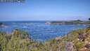 ./images/calvert/foggy-cove/20260910/foggy-cove20260910_120002M.jpg