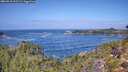 ./images/calvert/foggy-cove/20260910/foggy-cove20260910_121502M.jpg