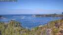 ./images/calvert/foggy-cove/20260910/foggy-cove20260910_122001M.jpg