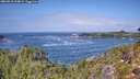 ./images/calvert/foggy-cove/20260910/foggy-cove20260910_124002M.jpg