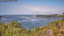 ./images/calvert/foggy-cove/20260910/foggy-cove20260910_124501M.jpg