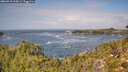 ./images/calvert/foggy-cove/20260910/foggy-cove20260910_125001M.jpg