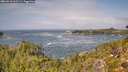 ./images/calvert/foggy-cove/20260910/foggy-cove20260910_125501M.jpg