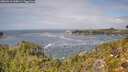 ./images/calvert/foggy-cove/20260910/foggy-cove20260910_130001M.jpg