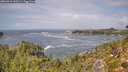 ./images/calvert/foggy-cove/20260910/foggy-cove20260910_130501M.jpg