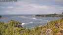 ./images/calvert/foggy-cove/20260910/foggy-cove20260910_131002M.jpg