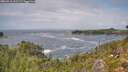 ./images/calvert/foggy-cove/20260910/foggy-cove20260910_131501M.jpg