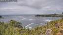 ./images/calvert/foggy-cove/20260910/foggy-cove20260910_133501M.jpg