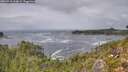 ./images/calvert/foggy-cove/20260910/foggy-cove20260910_134001M.jpg