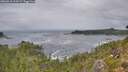 ./images/calvert/foggy-cove/20260910/foggy-cove20260910_134501M.jpg
