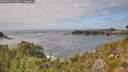./images/calvert/foggy-cove/20260910/foggy-cove20260910_153001M.jpg