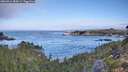 ./images/calvert/foggy-cove/20260911/foggy-cove20260911_083001M.jpg