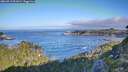 ./images/calvert/foggy-cove/20260911/foggy-cove20260911_091001M.jpg