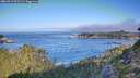 ./images/calvert/foggy-cove/20260911/foggy-cove20260911_091501M.jpg