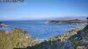 ./images/calvert/foggy-cove/20260911/foggy-cove20260911_093001M.jpg