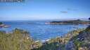 ./images/calvert/foggy-cove/20260911/foggy-cove20260911_094501M.jpg