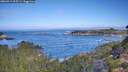 ./images/calvert/foggy-cove/20260911/foggy-cove20260911_095501M.jpg
