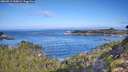./images/calvert/foggy-cove/20260911/foggy-cove20260911_100002M.jpg