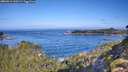 ./images/calvert/foggy-cove/20260911/foggy-cove20260911_100501M.jpg