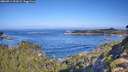 ./images/calvert/foggy-cove/20260911/foggy-cove20260911_101002M.jpg
