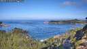 ./images/calvert/foggy-cove/20260911/foggy-cove20260911_101501M.jpg