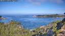 ./images/calvert/foggy-cove/20260911/foggy-cove20260911_102001M.jpg