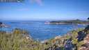 ./images/calvert/foggy-cove/20260911/foggy-cove20260911_102501M.jpg