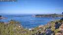 ./images/calvert/foggy-cove/20260911/foggy-cove20260911_103001M.jpg