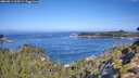 ./images/calvert/foggy-cove/20260911/foggy-cove20260911_103501M.jpg