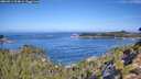 ./images/calvert/foggy-cove/20260911/foggy-cove20260911_104001M.jpg