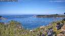 ./images/calvert/foggy-cove/20260911/foggy-cove20260911_104501M.jpg