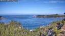 ./images/calvert/foggy-cove/20260911/foggy-cove20260911_105001M.jpg
