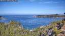 ./images/calvert/foggy-cove/20260911/foggy-cove20260911_105501M.jpg