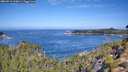 ./images/calvert/foggy-cove/20260911/foggy-cove20260911_110001M.jpg