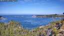 ./images/calvert/foggy-cove/20260911/foggy-cove20260911_110501M.jpg