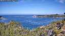 ./images/calvert/foggy-cove/20260911/foggy-cove20260911_111001M.jpg