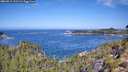 ./images/calvert/foggy-cove/20260911/foggy-cove20260911_111501M.jpg