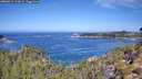 ./images/calvert/foggy-cove/20260911/foggy-cove20260911_112001M.jpg