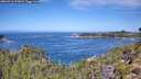 ./images/calvert/foggy-cove/20260911/foggy-cove20260911_113001M.jpg