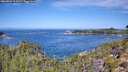./images/calvert/foggy-cove/20260911/foggy-cove20260911_113501M.jpg